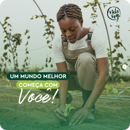 2ec1c3210986277.671a787ad885c